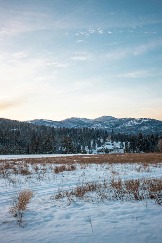 Snowy hills and forest under a clear sky in Post Falls, Idaho.